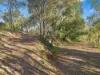 20 Longview  Drive, River Heads, Qld 4655-Image