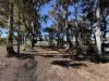 20 McCallum Way, Walpole, WA 6398-Image
