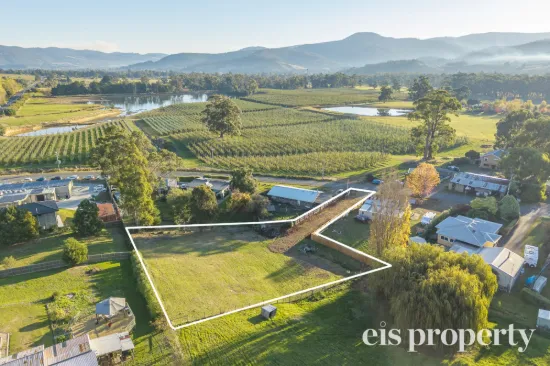 20 Mountain River Road, Grove, Tas 7109
