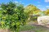 20 Nerrena Road, Dumbalk, Vic 3956-Image