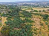 20 Pegema Place, Norwood, Tas 7250-Image
