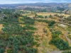 20 Pegema Place, Norwood, Tas 7250-Image