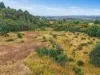 20 Pegema Place, Norwood, Tas 7250-Image