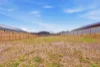 20 Rise Boulevard, Traralgon, Vic 3844-Image