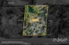 20 Sandpiper Drive, Thompson Beach, SA 5501-Image