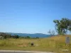 20 Sunshine Court, Bowen, Qld 4805-Image