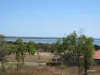 20 Sunshine Court, Bowen, Qld 4805-Image