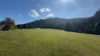 20 Unsworth Drive, Mission Beach, Qld 4852-Image