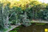 20 Warril Drive, Kuranda, Qld 4881-Image