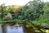 20 Warril Drive, Kuranda, Qld 4881-Image