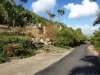 20 Webber Esplanade, Cooktown, Qld 4895-Image