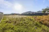 20 Wedge Circuit, Invermay Park, Vic 3350-Image
