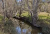 202 Axedale-Kimbolton Road, Axedale, Vic 3551-Image