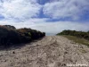 202 Canning Drive, Pink Lake, WA 6450-Image