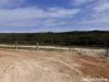 202 Canning Drive, Pink Lake, WA 6450-Image