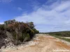 202 Canning Drive, Pink Lake, WA 6450-Image