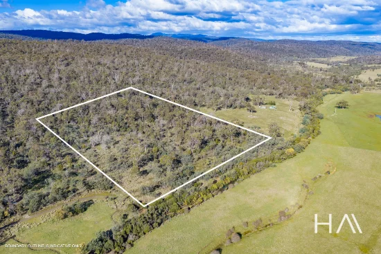 202 Lilydale Road, Rocherlea, Tas 7248