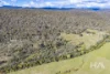 202 Lilydale Road, Rocherlea, Tas 7248-Image