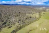 202 Lilydale Road, Rocherlea, Tas 7248-Image