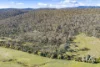 202 Lilydale Road, Rocherlea, Tas 7248-Image