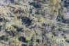 202 Lilydale Road, Rocherlea, Tas 7248-Image