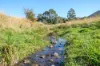 205 Slab Road, Cygnet, Tas 7112-Image