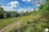 206 Frank Hoey Road, Sarina Range, Qld 4737-Image