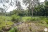 206 Frank Hoey Road, Sarina Range, Qld 4737-Image