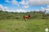 206 Frank Hoey Road, Sarina Range, Qld 4737-Image