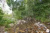 206 Frank Hoey Road, Sarina Range, Qld 4737-Image