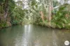 206 Frank Hoey Road, Sarina Range, Qld 4737-Image