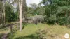 206 Frank Hoey Road, Sarina Range, Qld 4737-Image