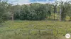 206 Frank Hoey Road, Sarina Range, Qld 4737-Image