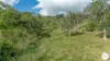 206 Frank Hoey Road, Sarina Range, Qld 4737-Image