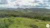 206 Frank Hoey Road, Sarina Range, Qld 4737-Image
