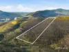 209 Haney Road, Lachlan, Tas 7140