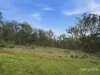 209 Haney Road, Lachlan, Tas 7140-Image