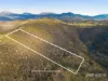 209 Haney Road, Lachlan, Tas 7140-Image