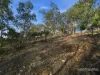 209 Haney Road, Lachlan, Tas 7140-Image