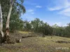209 Haney Road, Lachlan, Tas 7140-Image