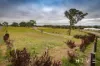 209 Woodbury Drive, Sutton, NSW 2620-Image