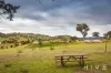 209 Woodbury Drive, Sutton, NSW 2620-Image