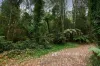 21-25 McAllister Road, Monbulk, Vic 3793-Image