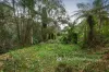 21-25 McAllister Road, Monbulk, Vic 3793-Image