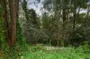 21-25 McAllister Road, Monbulk, Vic 3793-Image