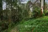21-25 McAllister Road, Monbulk, Vic 3793-Image
