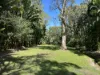 21 Barbarra St, Picnic Bay, Qld 4819-Image