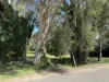 21 Barbarra St, Picnic Bay, Qld 4819-Image