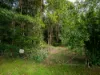 21 Carrington Drive, Flaxton, Qld 4560-Image