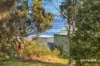 21 Connellys Marsh Road, Connellys Marsh, Tas 7173-Image